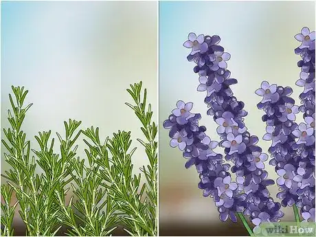 Image titled Keep Ticks Out of Your Yard Step 9