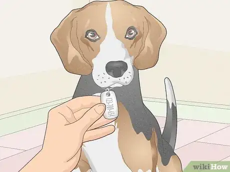 Image titled Move Cross Country with Multiple Pets Step 5