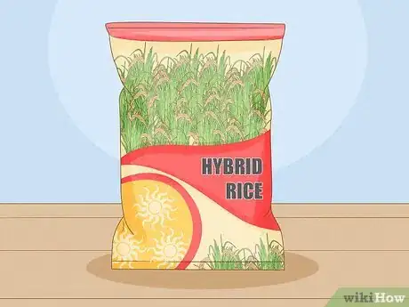 Image titled Control Pests in Rice Step 1