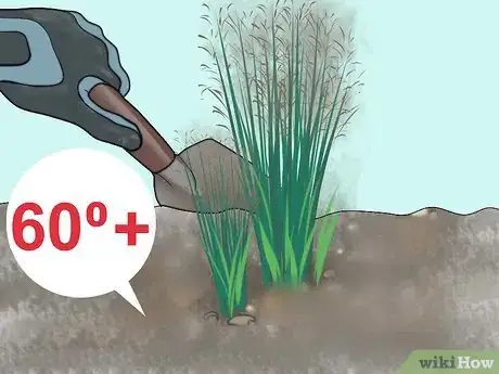 Image titled Plant Switchgrass Step 6