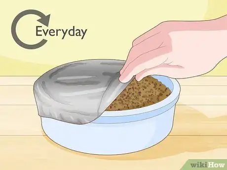 Image titled Grow Arugula Microgreens Step 5