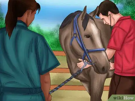 Image titled Maintain Healthy Weight for a Horse Step 4