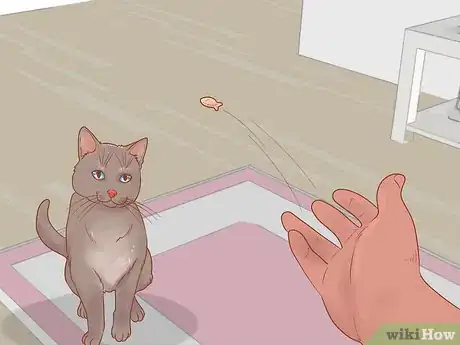 Image titled Keep Cats Safe on Halloween Step 10