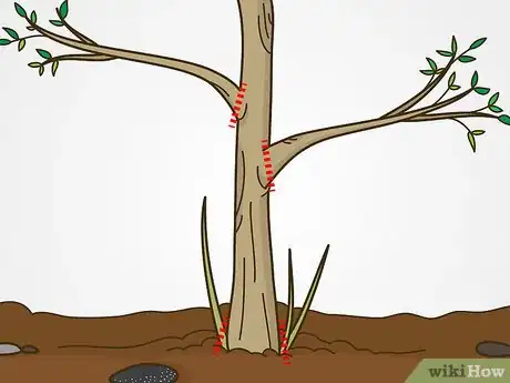 Image titled Trim Trees Step 11