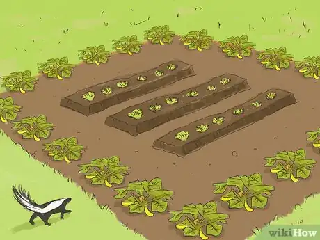 Image titled Discourage Skunks in Your Garden Step 2