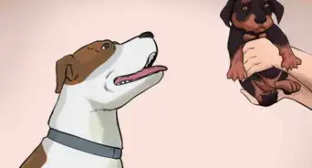 Handle a Mother Dog Refusing to Stay with Her Puppies