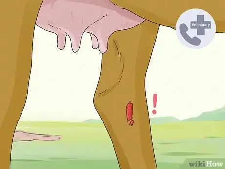 Image titled Increase Dairy Milk Production Step 14