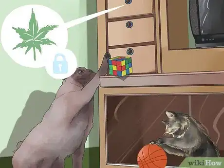 Image titled Prevent Marijuana Poisoning in Dogs and Cats Step 1