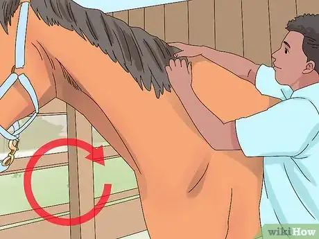 Image titled Pull a Horse's Mane Step 1