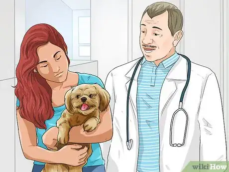 Image titled Exercise Your Dog Step 6