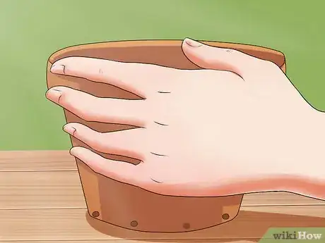 Image titled Grow Geraniums Step 2