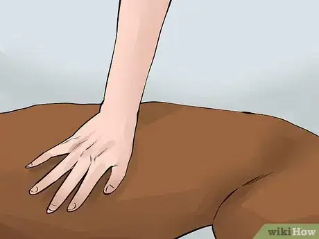 Image titled Catch a Runaway Dog Step 10