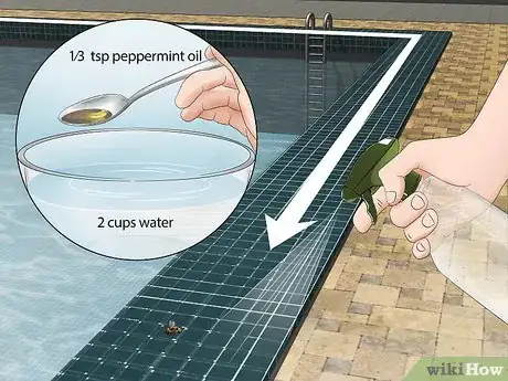 Image titled Keep Bees Away from Your Pool Step 4