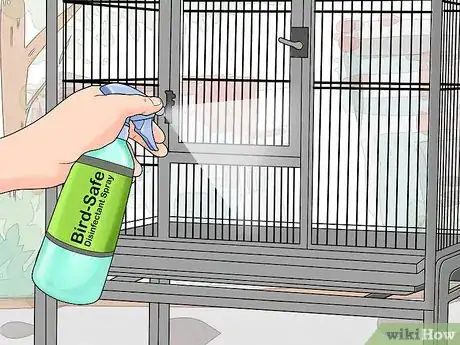 Image titled Treat Chlamydiosis in Conures Step 5