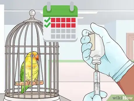 Image titled Treat Lovebirds with Psittacine Beak and Feather Disease Step 14