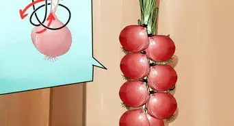 Grow Onions from Seed
