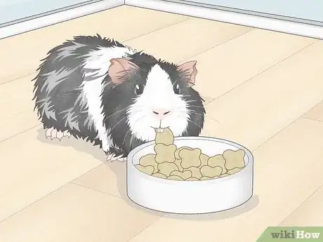 Image titled Prevent Your Guinea Pig from Becoming Sick Step 5
