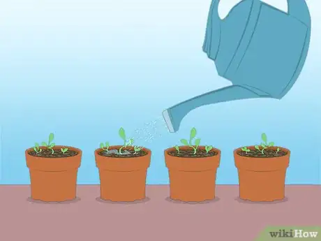 Image titled Propagate Azaleas Step 42