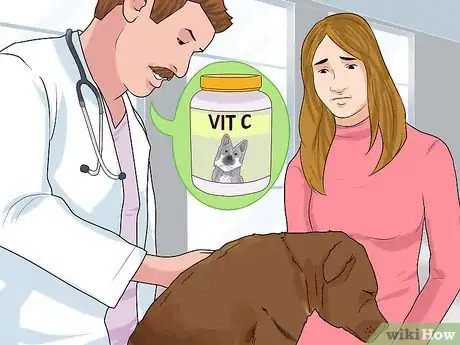 Image titled Holistically Care for a Dog Step 7