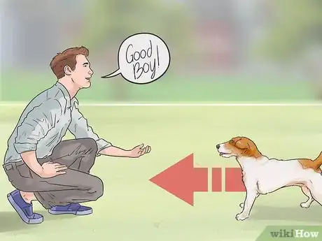 Image titled Enhance Your Dog's Recall Step 10