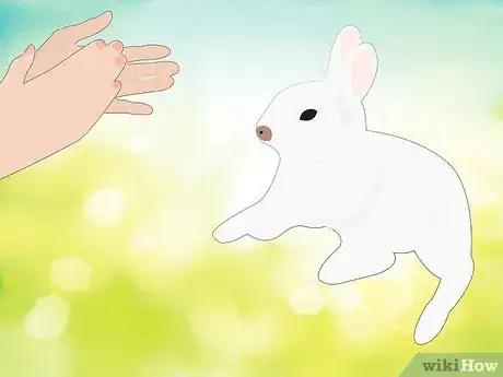 Image titled Address Biting and Aggressive Behavior in a Rabbit Step 8