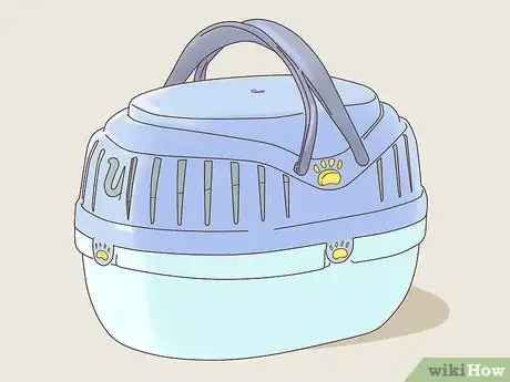 Image titled Show a Guinea Pig Step 11