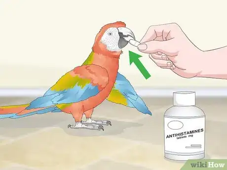 Image titled Treat Allergies in Macaws Step 6
