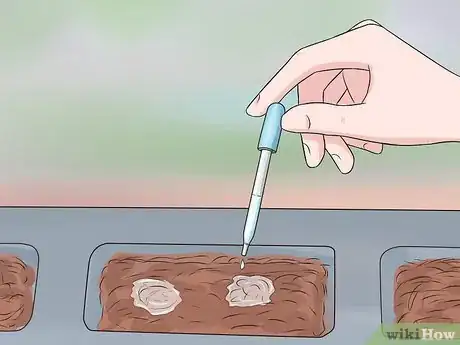 Image titled Grow Tomatoes Upside Down Step 4