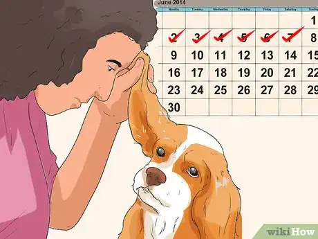 Image titled Diagnose Ear Infections in Cocker Spaniels Step 8
