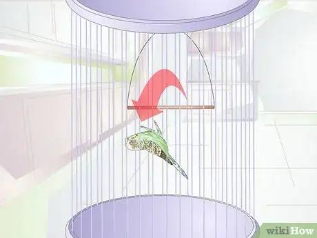 Image titled Avoid Poisoning Your Pet Bird Step 11