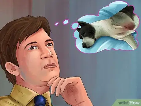 Image titled Treat a Dog with Osteosarcoma Step 11