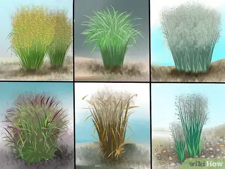 Image titled Plant Switchgrass Step 1