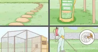 Repair a Bare Patch of Lawn