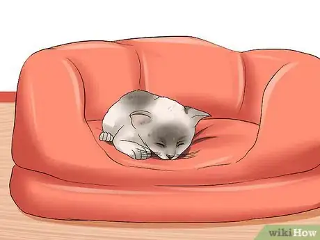 Image titled Get a Grumpy Cat to Like You Step 3