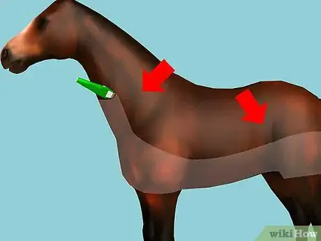 Image titled Clip Your Horse Step 2