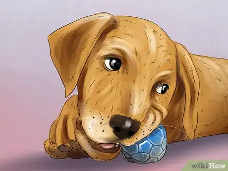 Image titled Keep Your Dog Under Control Outside Step 2