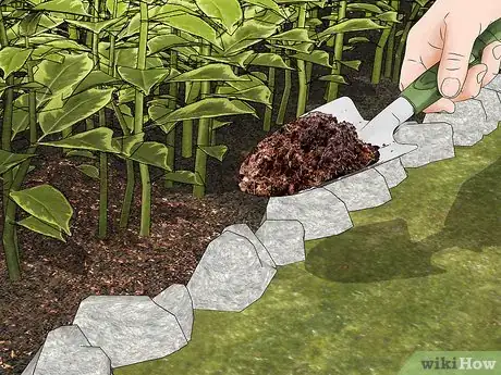 Image titled Attract Assassin Bugs Step 3