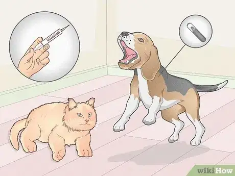 Image titled Move Cross Country with Multiple Pets Step 1