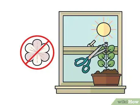 Image titled Grow Mint Indoors Step 12