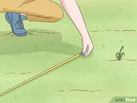 Image titled Make a Bulb Garden Step 5