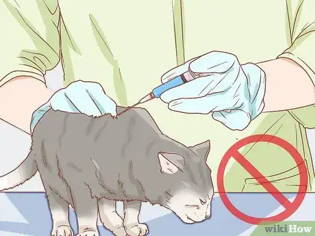 Image titled Tell if a Cat is Pregnant Step 10