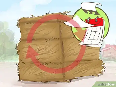 Image titled Feed Your Horse During Show Season Step 2