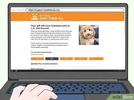 Image titled Help Homeless Animals Step 1