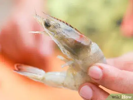 Image titled Make Shrimp Cocktail Step 6