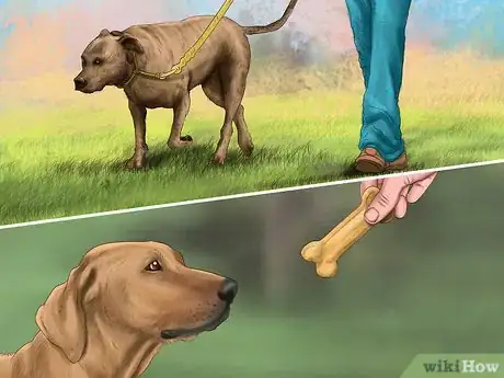 Image titled Set Ground Rules for Your Dog Step 11