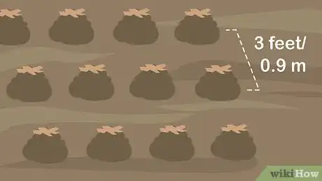 Image titled Grow Squash Step 7