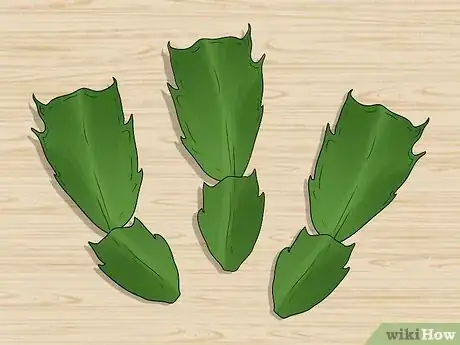 Image titled Plant a Christmas Cactus Step 3