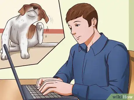 Image titled Solve Your Dog's Skin and Scratching Problems Step 9