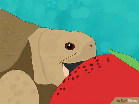 Image titled Wake a Tortoise from Hibernation Step 7