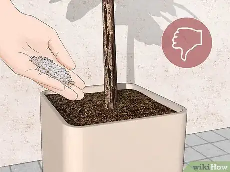 Image titled Control Mealybugs on Indoor Plants Step 2